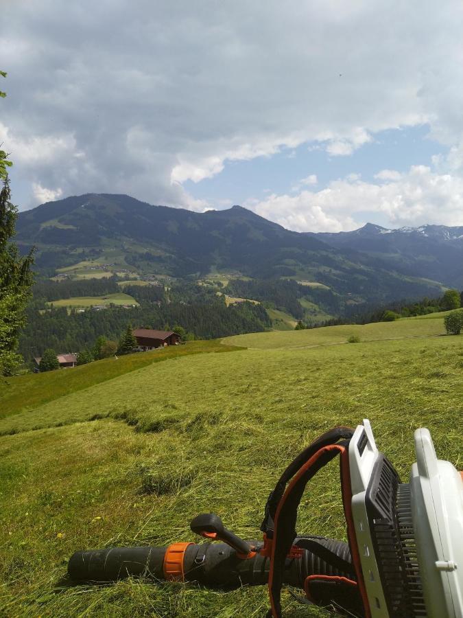 Schwemm Moos Daire Westendorf Dış mekan fotoğraf