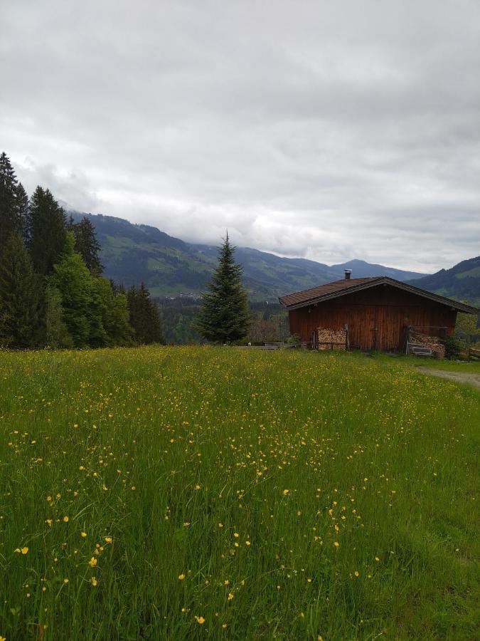 Schwemm Moos Daire Westendorf Dış mekan fotoğraf